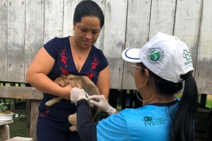 Mais de 60% dos municípios alcançaram a meta de vacinação antirrábica no Amazonas em 2024