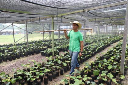 Governo do Amazonas vai incentivar a formação de bancos comunitários de mudas e sementes