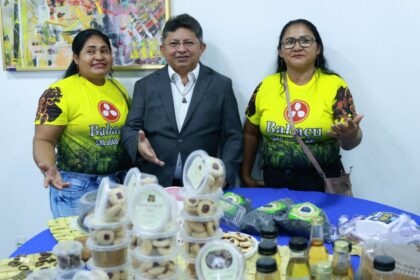 Sinésio Campos apresenta relatório que aponta o babaçu como alternativa de desenvolvimento para o interior