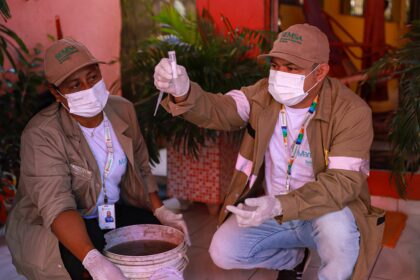 Casos de arboviroses em nova edição de informe epidemiológico