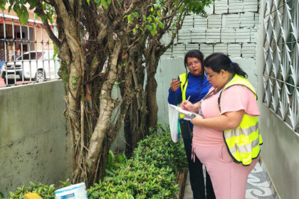 Inventário florestal revela diversidade de espécies arbóreas na área do Prosai Parintins
