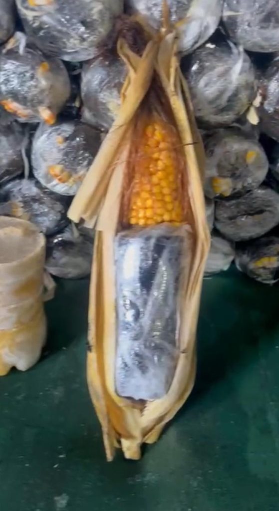 Base Arpão 1: PMAM apreende 15 kg de oxi em formato de espiga de milho em embarcação oriunda de Tabatinga