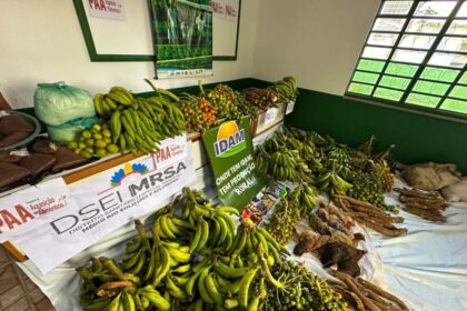 Governo do Amazonas entrega 5,5 toneladas de alimentos da agricultura indígena em Envira