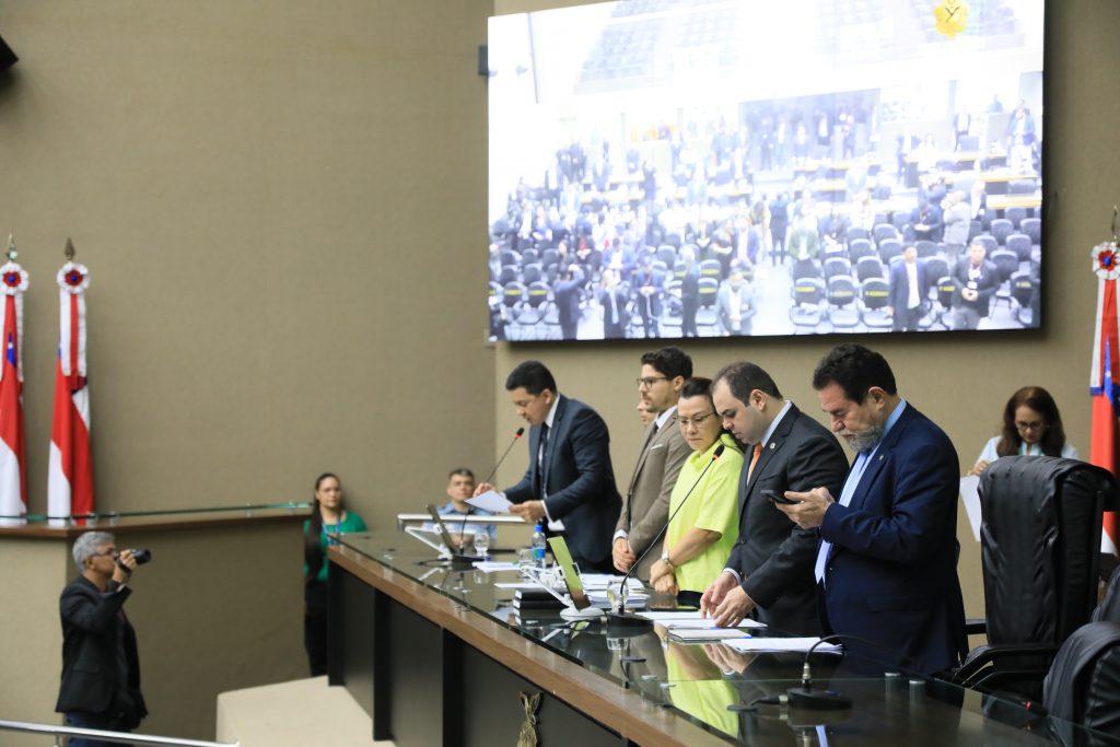 Assembleia Legislativa aprova projetos para agricultura familiar, segurança das mulheres e apoio às microempresas