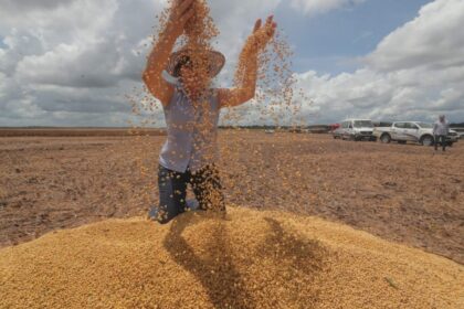 Dia Mundial das Leguminosas: Idam incentiva produção de feijão, soja e feijão de corda no estado