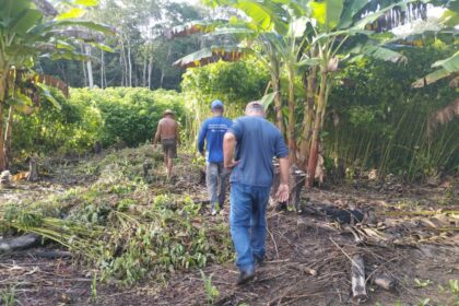 Em Caapiranga, Idam realiza regularização de documentos rurais e visita técnica a propriedade produtora de Malva