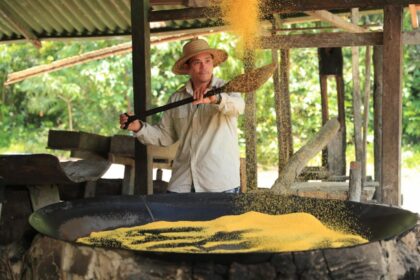Eco Amazônia: Governo do Amazonas prepara feira integrada para celebrar Semana do Meio Ambiente