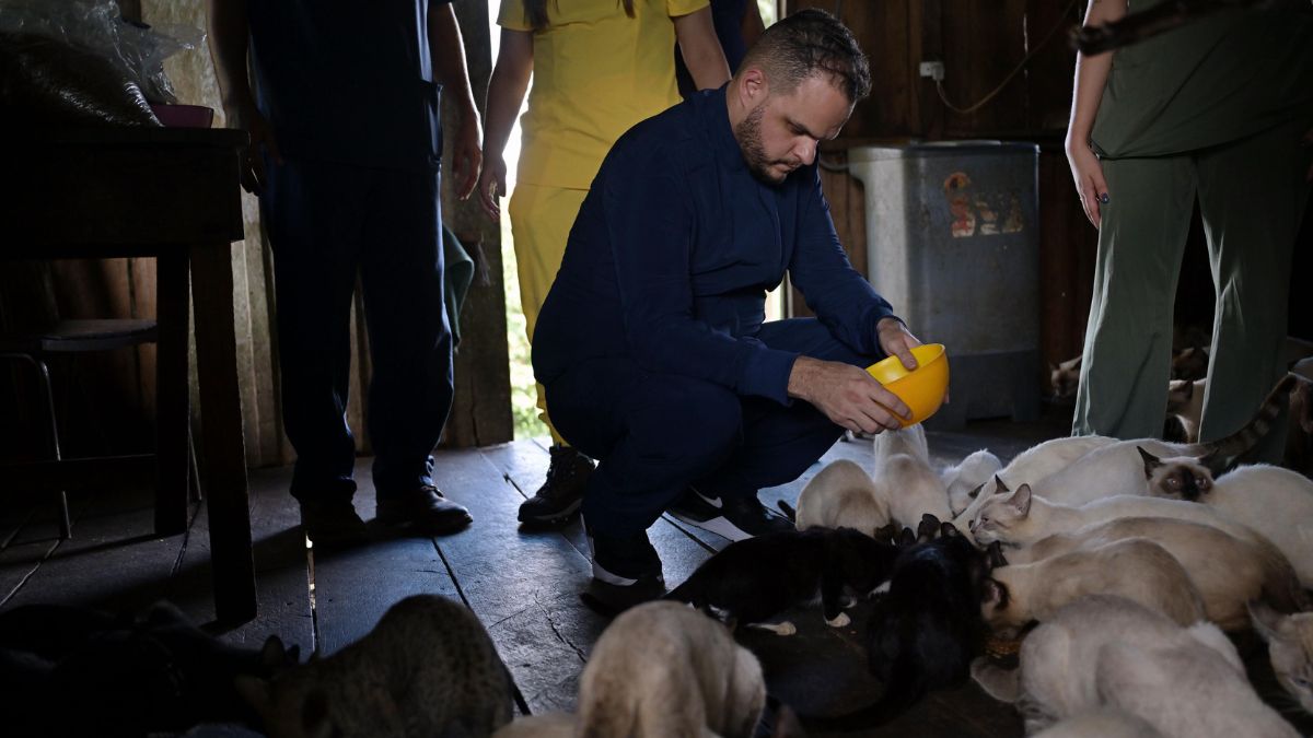 Ação emergencial leva assistência a animais afetados pela enchente em Careiro da Várzea