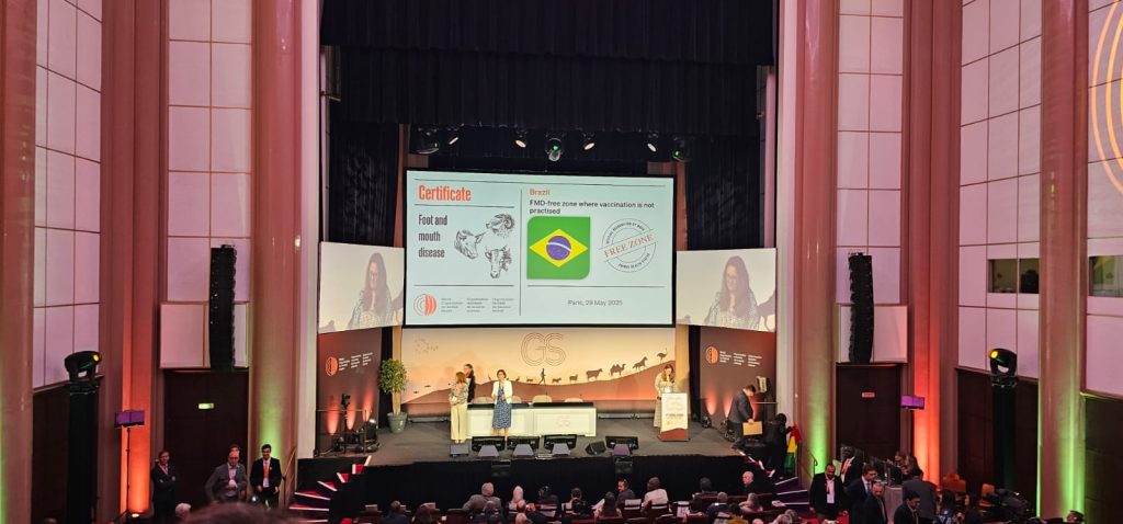 Amazonas obtém status internacional ‘livre de aftosa’ sem vacinação