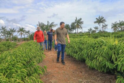 Aniversário de Humaitá: Delegado Péricles visita o município e celebra avanços da produção de café no Distrito de Realidade