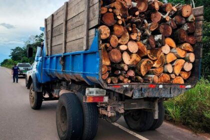 Ipaam e Batalhão Ambiental apreendem caminhão com 12 st de madeira ilegal em Iranduba
