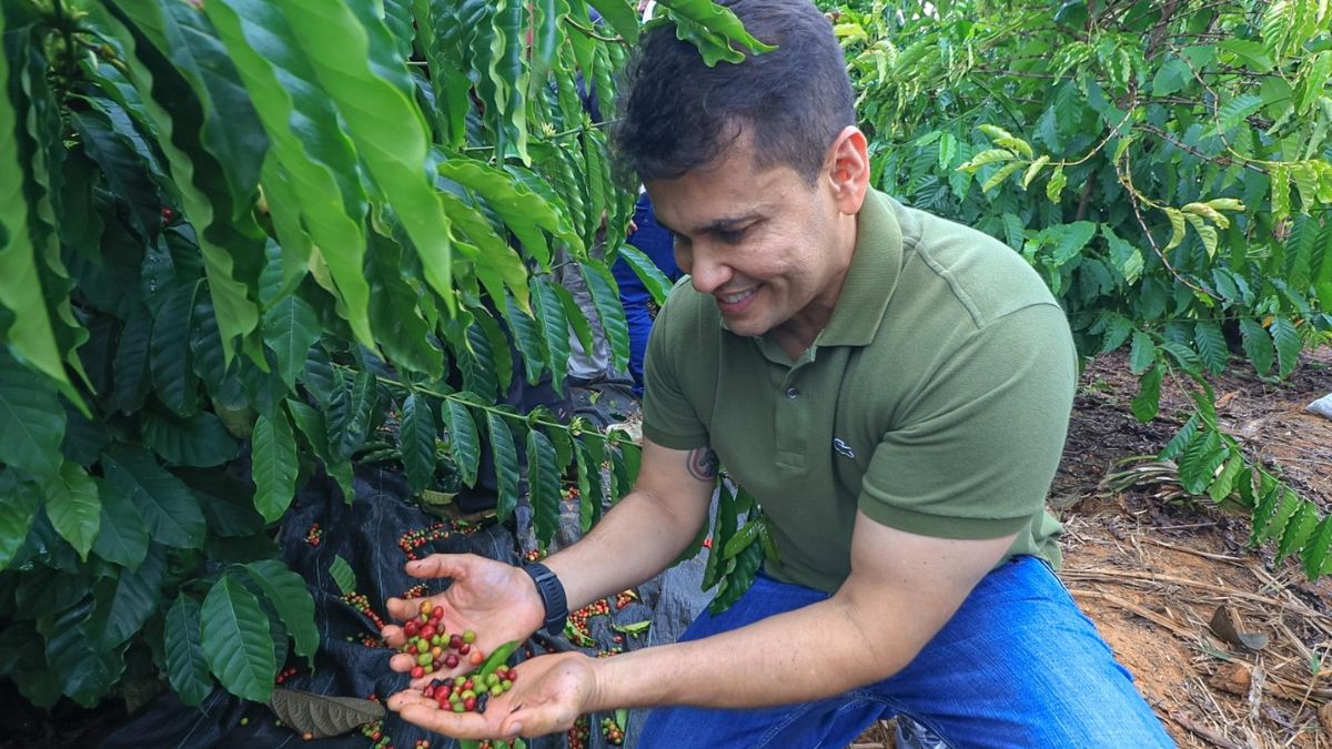 Expansão da cafeicultura impulsiona desenvolvimento no Distrito da Realidade, destaca vereador Coronel Rosses