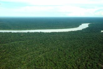 Apoiado pelo Governo do Amazonas, seminário sobre a Emergência Climática na Amazônia começa nesta quarta-feira em Manaus