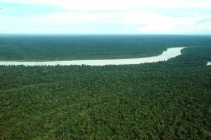 Apoiado pelo Governo do Amazonas, seminário sobre a Emergência Climática na Amazônia começa nesta quarta-feira em Manaus