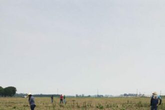 Evento, apoiado pelo Governo do Amazonas, sobre agricultura regenerativa da Amazônia Ocidental ocorre em Humaitá