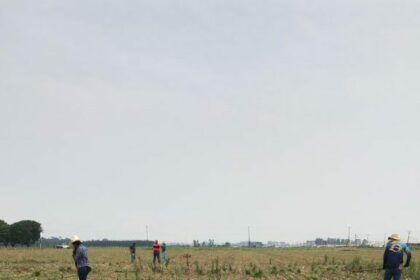 Evento, apoiado pelo Governo do Amazonas, sobre agricultura regenerativa da Amazônia Ocidental ocorre em Humaitá