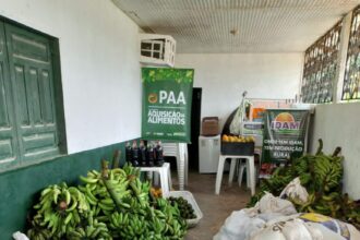 Idam realiza logística de 3,4 toneladas de alimentos produzidos por agricultores de Benjamin Constant