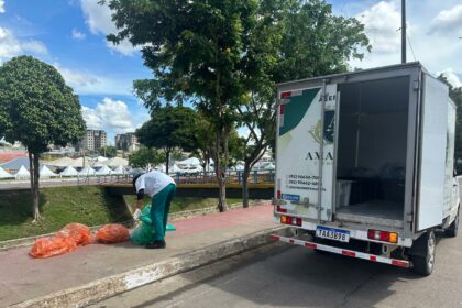 Prefeitura realiza mais de 5 mil cremações de animais em 2025
