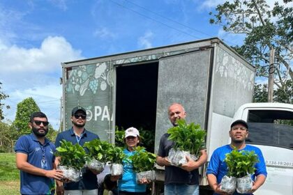 Sepror fomenta projeto-piloto de cafeicultura com base familiar em Rio Preto da Eva com 30 agricultores