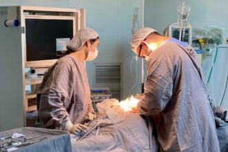 Em quatro meses, Hospital 28 de Agosto realizou mais de 3,7 mil cirurgias de média e alta complexidade