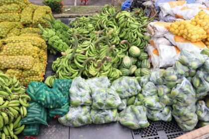 Em Manaus, Governo do Amazonas adquire 16 toneladas de alimentos de agricultores familiares