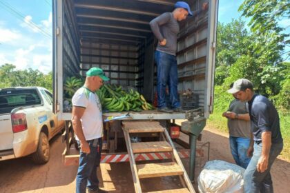 Governo do Amazonas adquire alimentos de produtores rurais em Boca do Acre