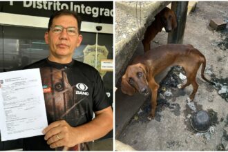 Fiscalização coordenada por Kennedy Marques resulta em prisão por maus-tratos a animais no bairro Petrópolis