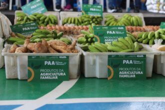 Governo do Amazonas potencializa setor primário no município de Tapauá