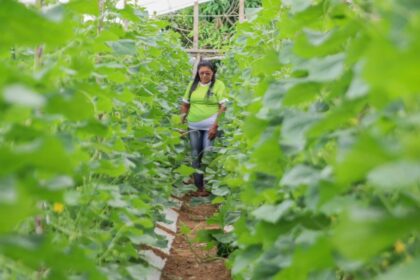 Dia do Trabalhador Rural: A luta e o orgulho de produzir no coração do Amazonas