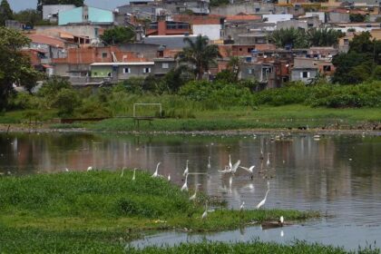 Comissão debate os 10 anos da encíclica “Laudato Si” sobre meio ambiente