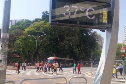 Comissão de Meio Ambiente discute instalação de usina termelétrica no entorno de Brasília