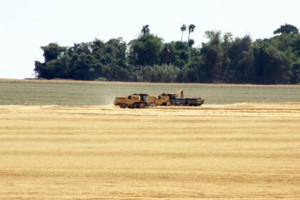 Comissão debate obstáculos para a realização do Cadastro Ambiental Rural e do georreferenciamento dos imóveis
