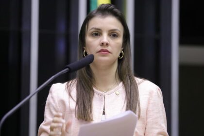 Comissão discute criação do Dia Nacional do Alho Brasileiro