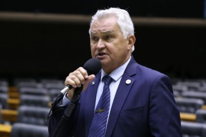 Comissão debate patrimônio histórico da comunidade polonesa no Brasil