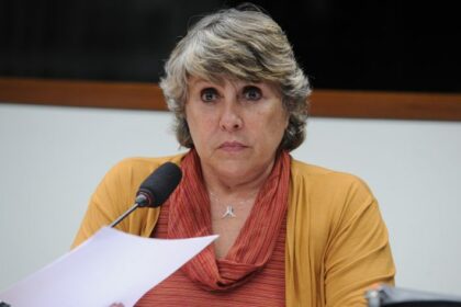 Comissão aprova exigência de utilização de madeira certificada nas licitações