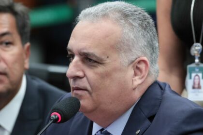 Comissão de Constituição e Justiça aprova proibição de captura de tubarões e arraias para remoção de barbatanas