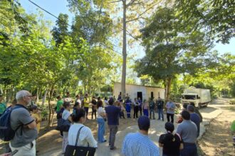 Prefeitura de Manaus apresenta Centro de Produção de Mudas e avanços da gestão aos participantes da oficina regional do Plano Nacional de Arborização Urbana