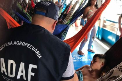 Festival de Parintins 2025: Adaf alerta visitantes de Parintins sobre restrição de trânsito de frutos hospedeiros de pragas