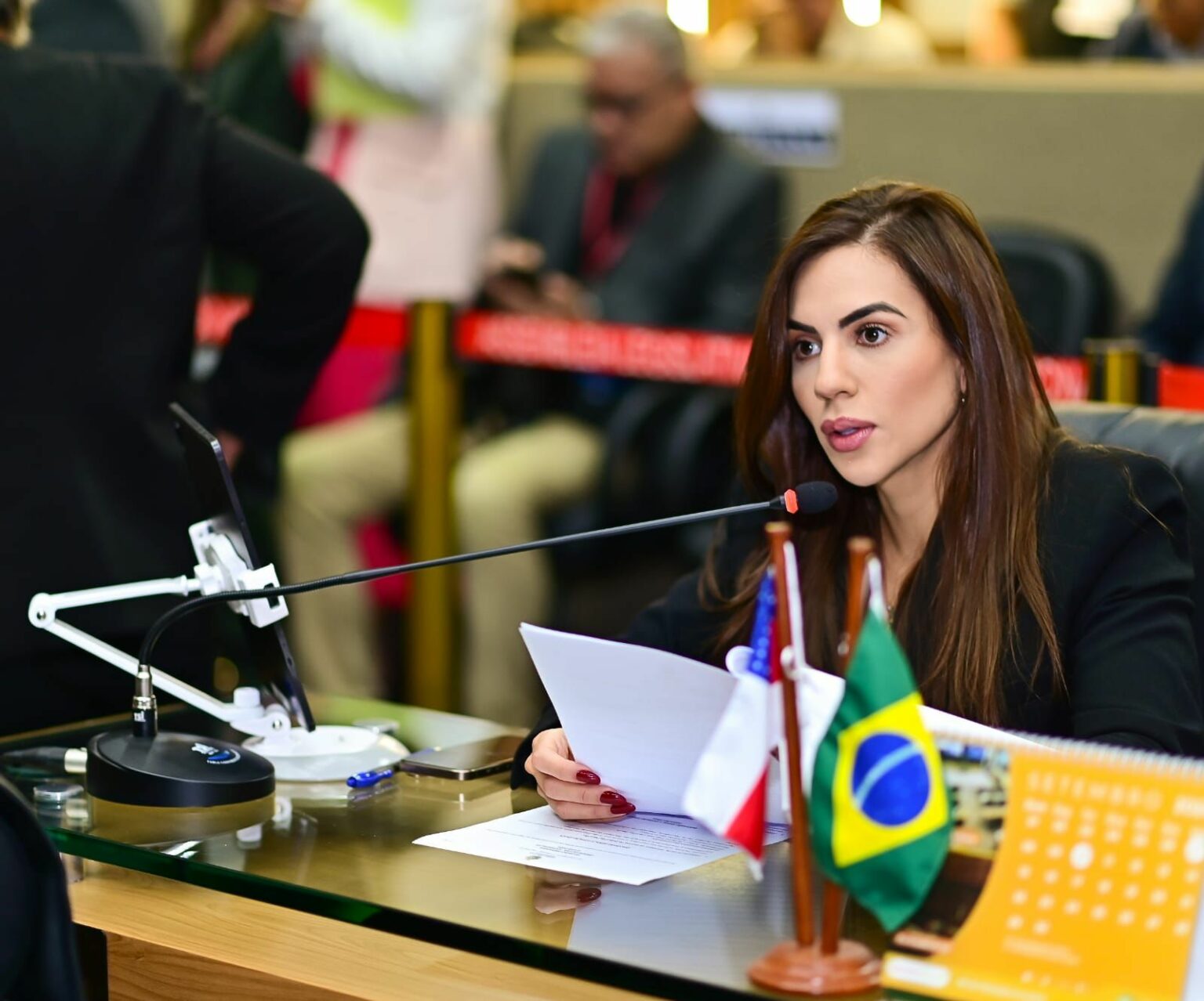 Comissão de Defesa dos Direitos das Crianças e Adolescentes apresenta balanço do primeiro semestre na Assembleia Legislativa