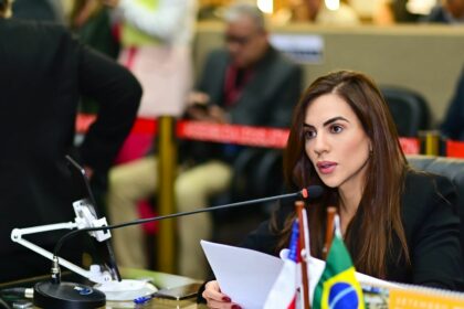 Comissão de Defesa dos Direitos das Crianças e Adolescentes apresenta balanço do primeiro semestre na Assembleia Legislativa