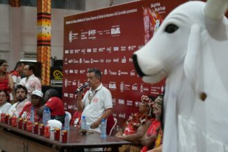 Festival de Parintins 2025: Boi Garantido destaca resistência e identidade popular em projeto de arena