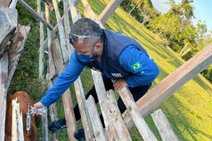Adaf adia obrigatoriedade de vacinação contra a raiva em Apuí
