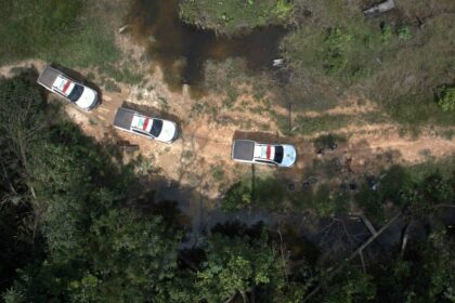 Ipaam aplica multa de R$ 5,4 milhões por desmatamento ilegal na Floresta Estadual de Tapauá