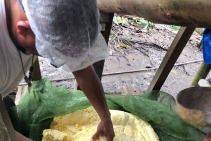 Em Tabatinga, Idam capacita agricultores familiares que atuam na mandiocultura
