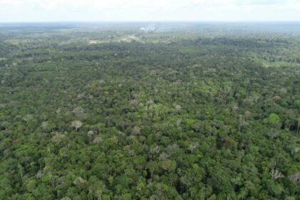 Ipaam registra queda de 21,09% no desmatamento e 37,5% nos focos de calor no Amazonas em maio