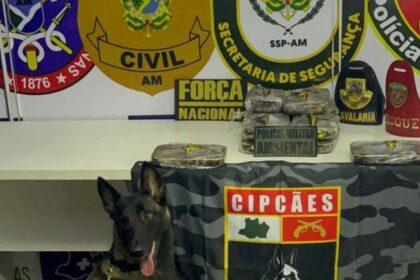 Base Arpão 3: Cadela policial encontra 13 quilos de cocaína escondido em armário de embarcação