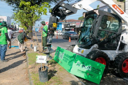 Prefeitura de Manaus tem marco histórico na arborização e apresenta avanços da gestão