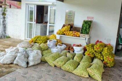Governo do Amazonas adquire alimentos de agricultores familiares de Presidente Figueiredo