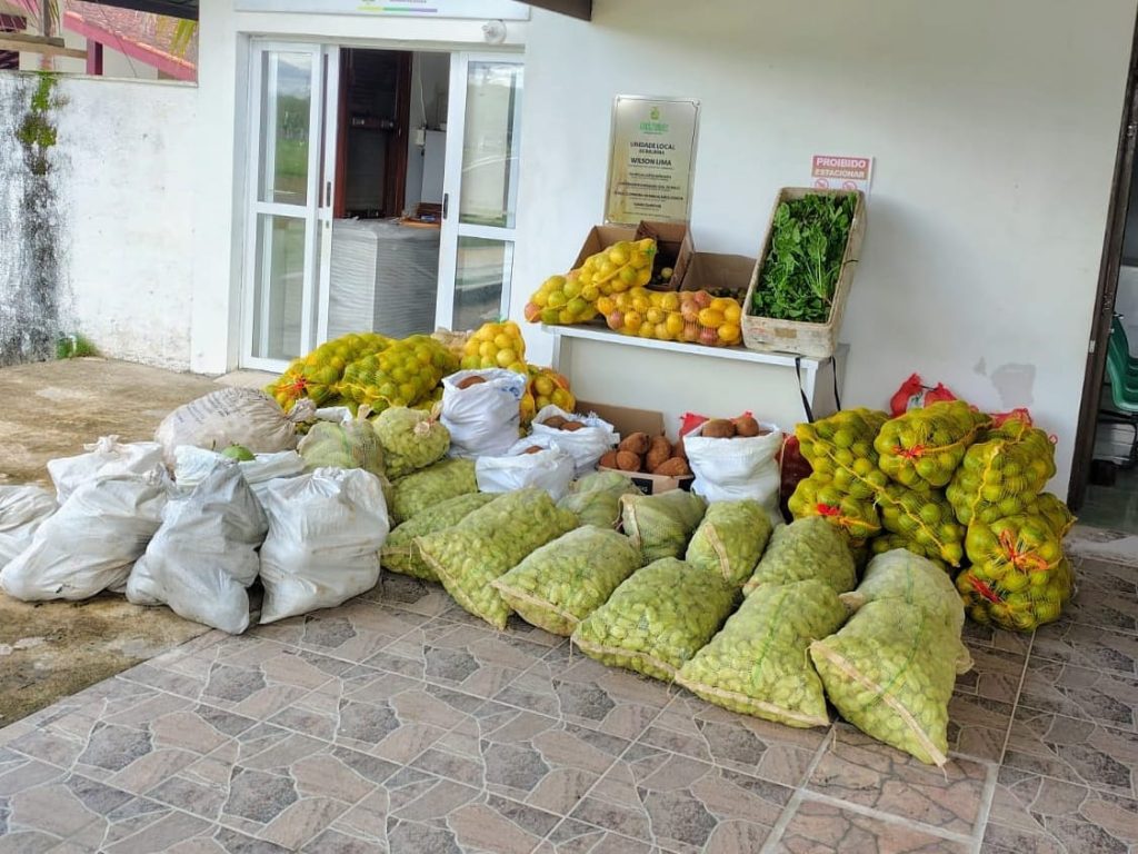 Governo do Amazonas adquire alimentos de agricultores familiares de Presidente Figueiredo