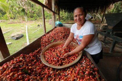 Eco Amazônia: Programação terá painéis e palestras para debater soluções ambientais na Semana do Meio Ambiente